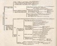 Stemma von 1728 aus Chambers’ »Cyclopædia«
